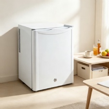 Mini Refrigerator